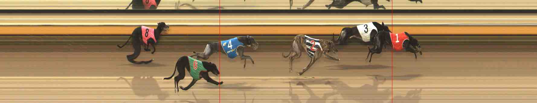 Photo finish for Warrnambool Race 10
