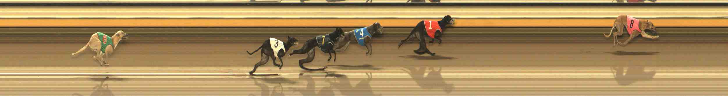 Photo finish for Warrnambool Race 11