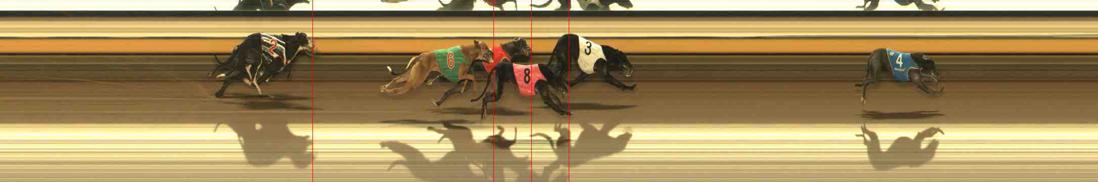 Photo finish for Warrnambool Race 12