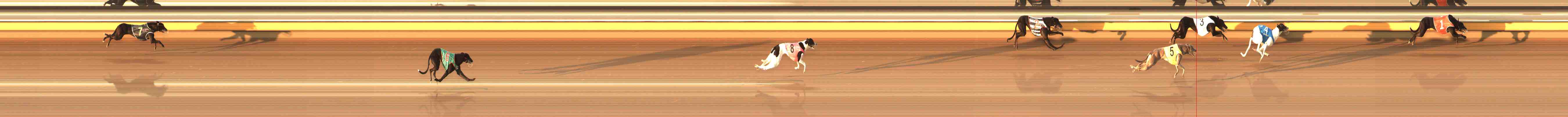Photo finish for Warrnambool Race 1