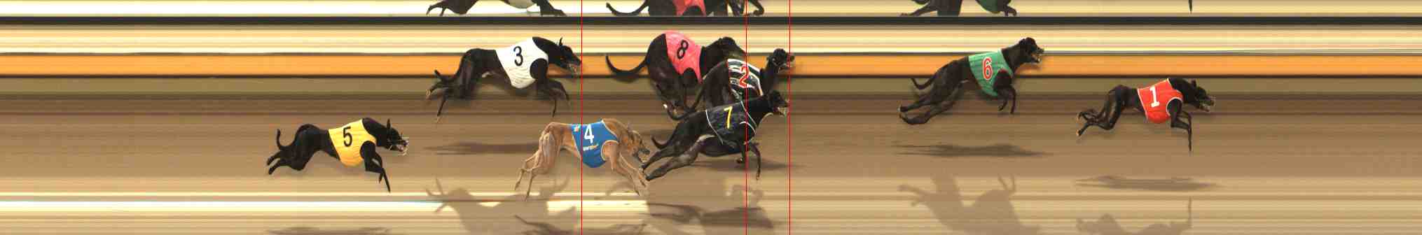 Photo finish for Warrnambool Race 2