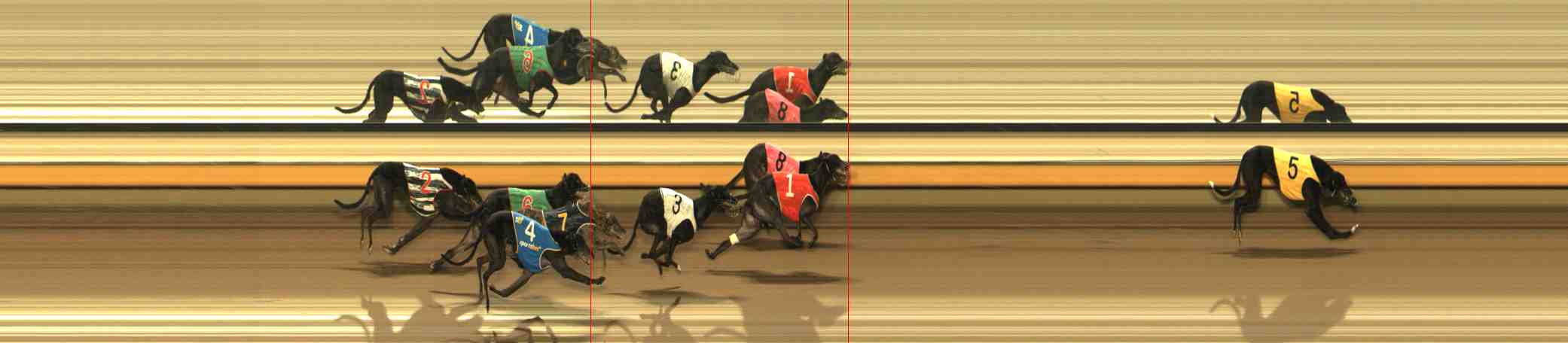 Photo finish for Warrnambool Race 3