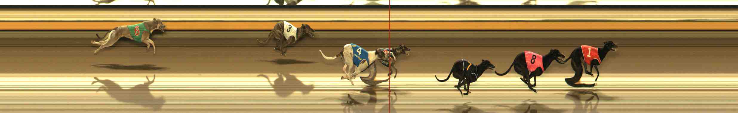 Photo finish for Warrnambool Race 4