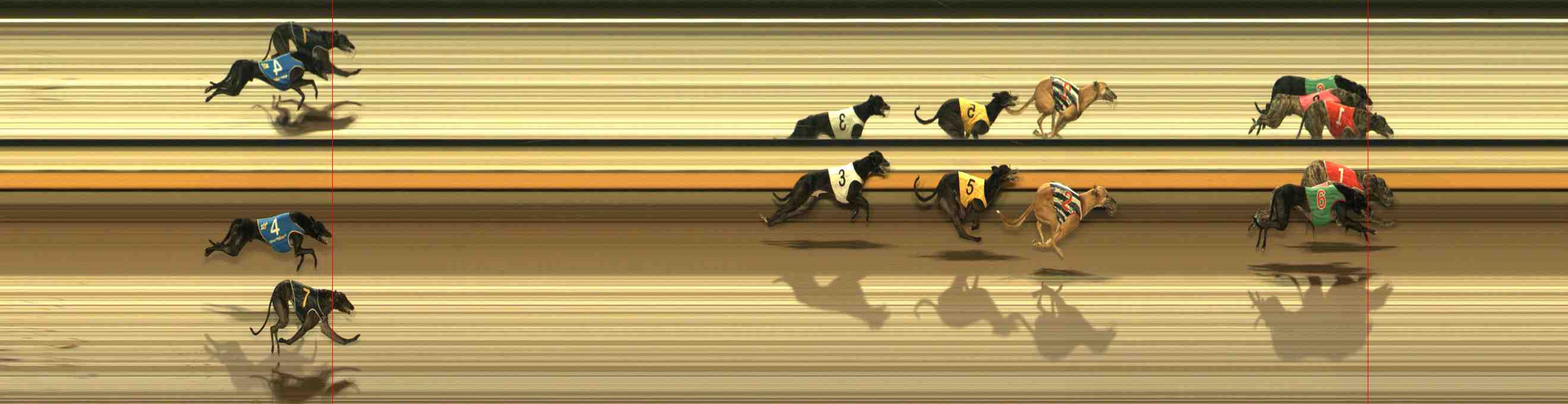 Photo finish for Warrnambool Race 6