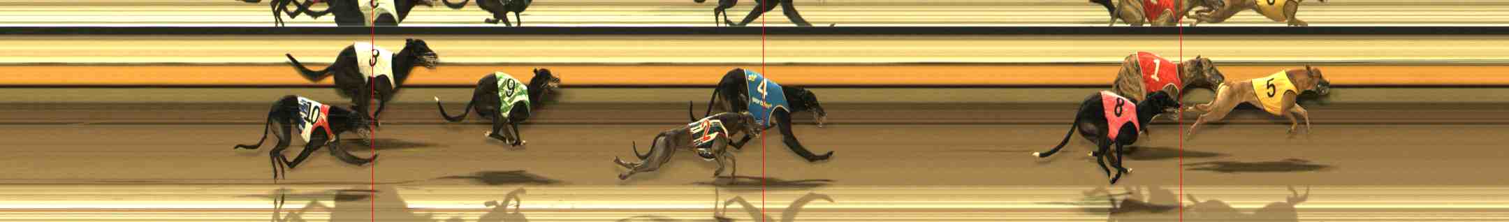 Photo finish for Warrnambool Race 8