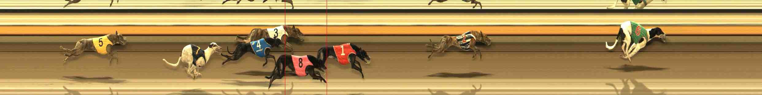 Photo finish for Warrnambool Race 9