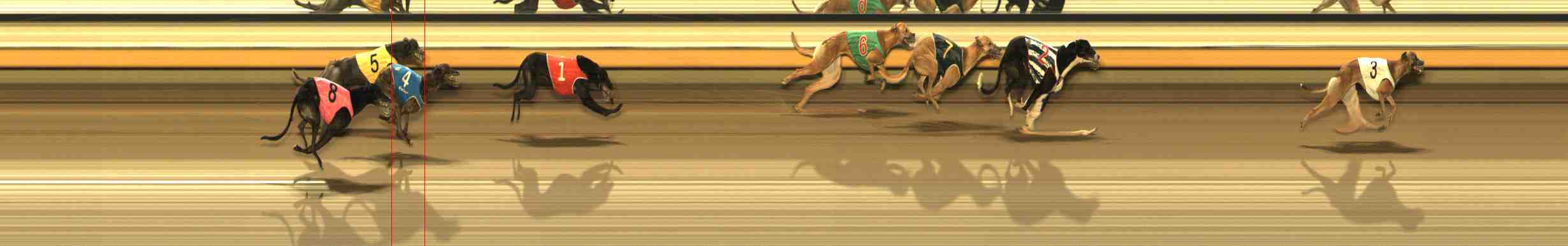 Photo finish for Warrnambool Race 10