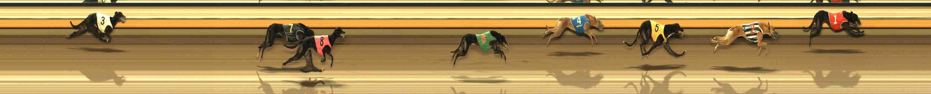 Photo finish for Warrnambool Race 11