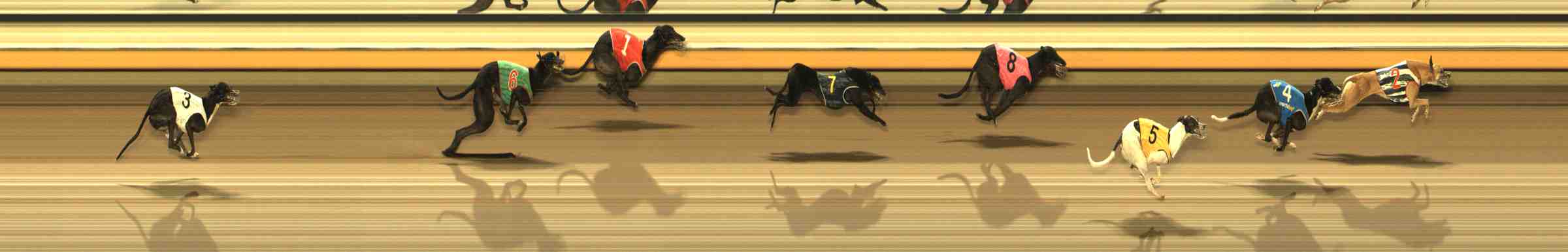 Photo finish for Warrnambool Race 12