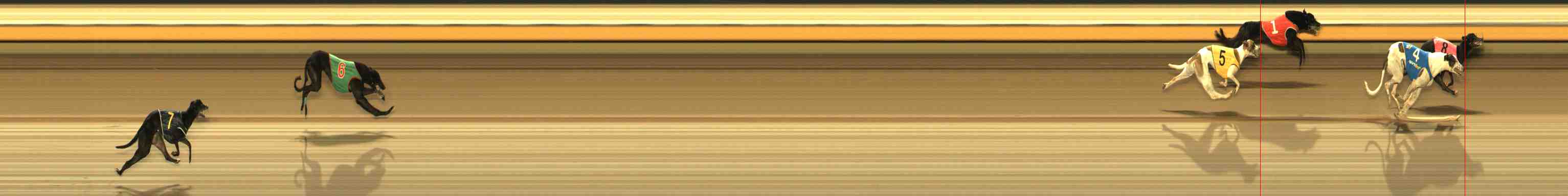 Photo finish for Warrnambool Race 13