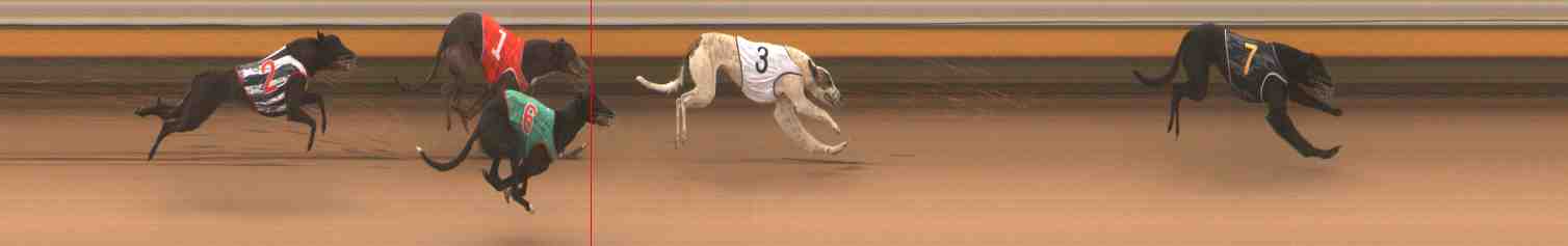 Photo finish for Warrnambool Race 1