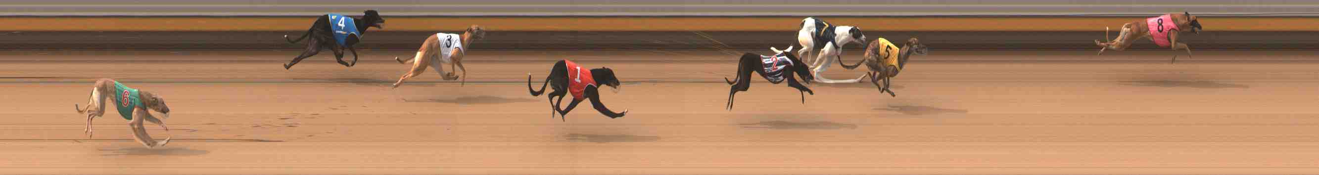 Photo finish for Warrnambool Race 3