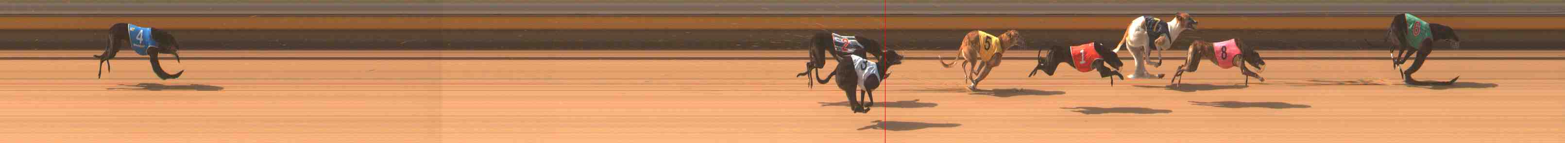 Photo finish for Warrnambool Race 4