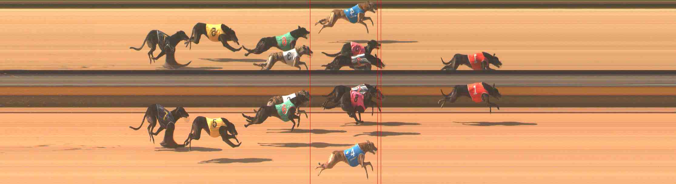 Photo finish for Warrnambool Race 5