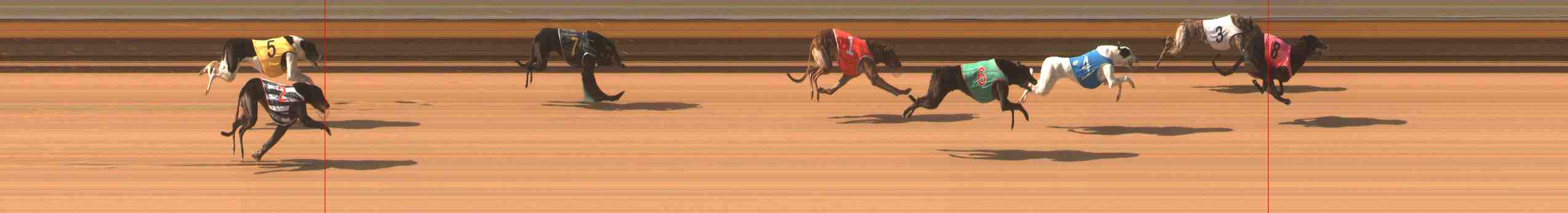 Photo finish for Warrnambool Race 6