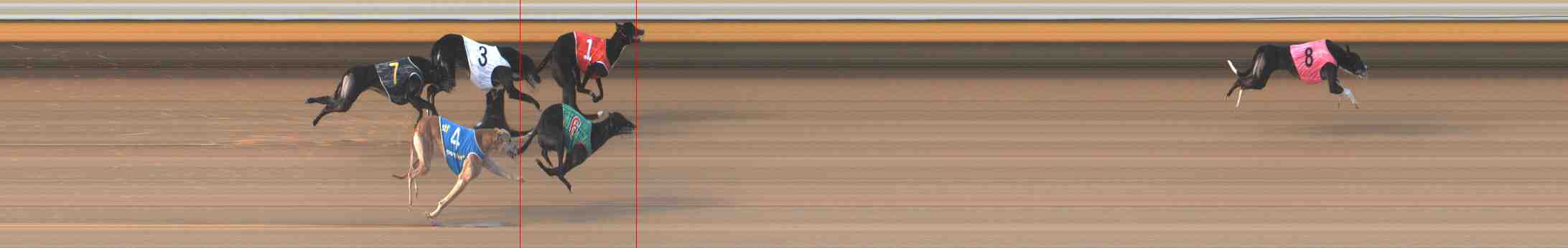Photo finish for Warrnambool Race 7