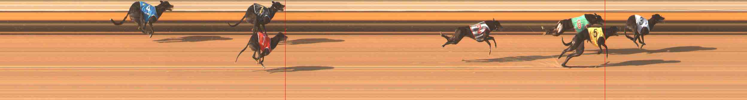 Photo finish for Warrnambool Race 8