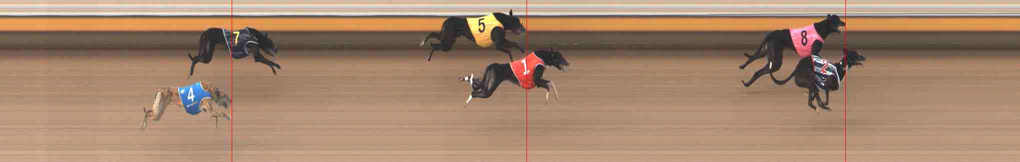 Photo finish for Warrnambool Race 9