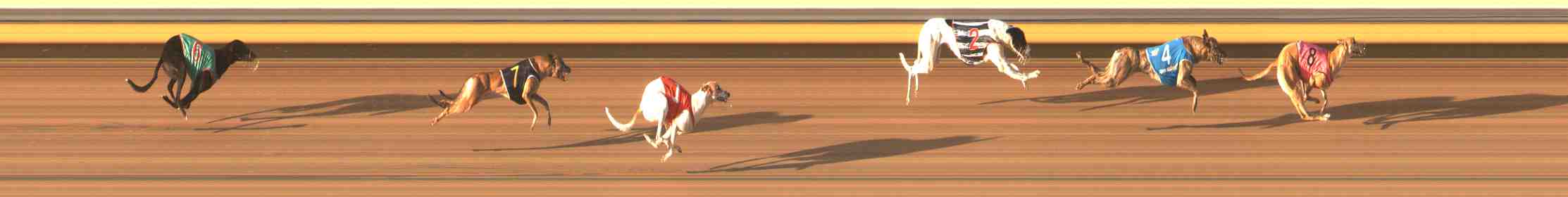 Photo finish for Warrnambool Race 10