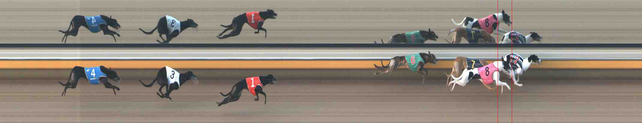 Photo finish for Warrnambool Race 11