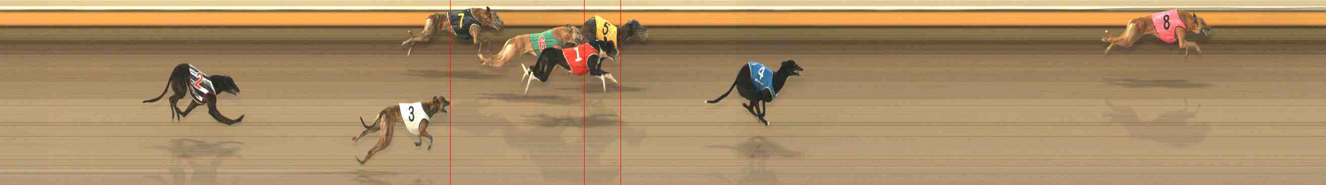 Photo finish for Warrnambool Race 12