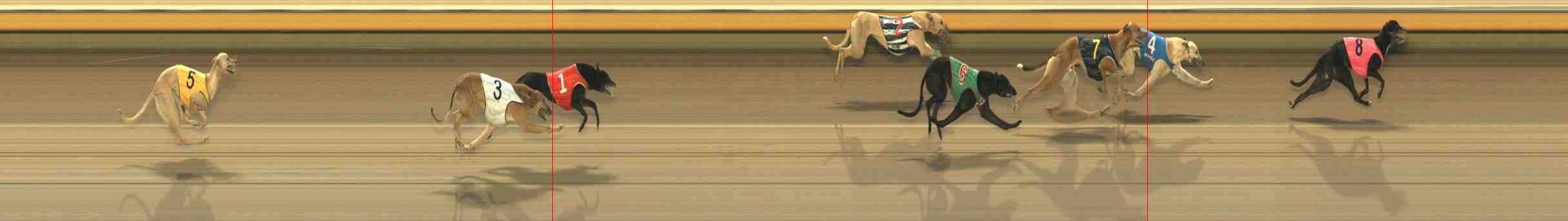 Photo finish for Warrnambool Race 13