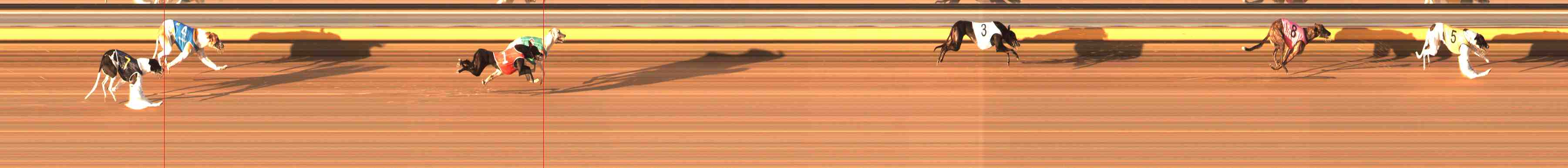 Photo finish for Warrnambool Race 1
