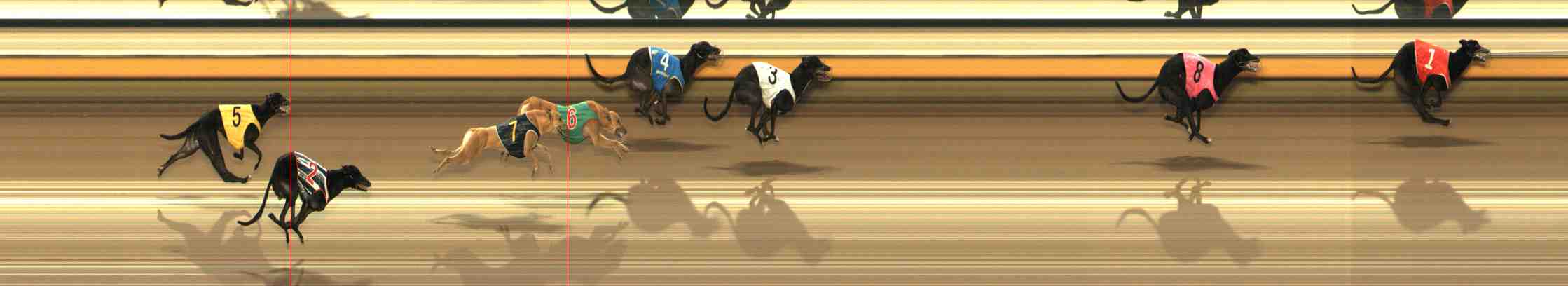 Photo finish for Warrnambool Race 3