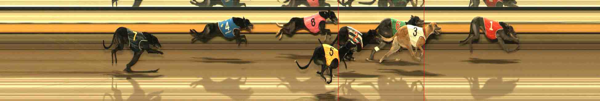 Photo finish for Warrnambool Race 4