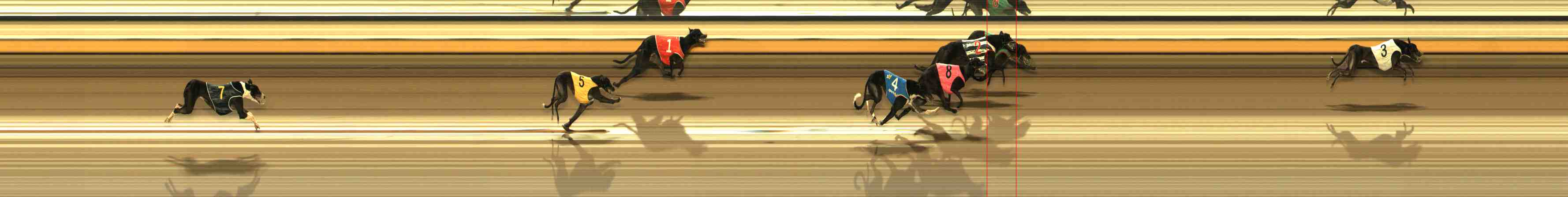 Photo finish for Warrnambool Race 5
