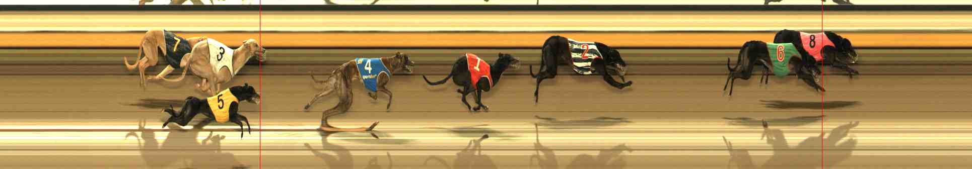 Photo finish for Warrnambool Race 6