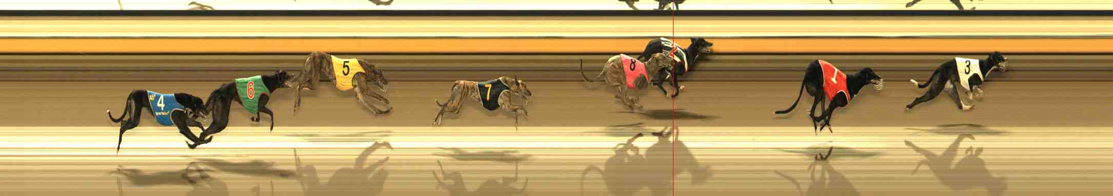 Photo finish for Warrnambool Race 7