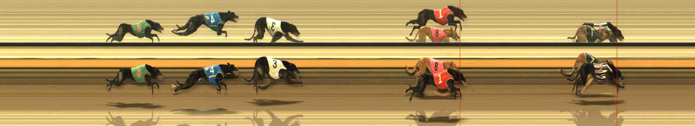 Photo finish for Warrnambool Race 10