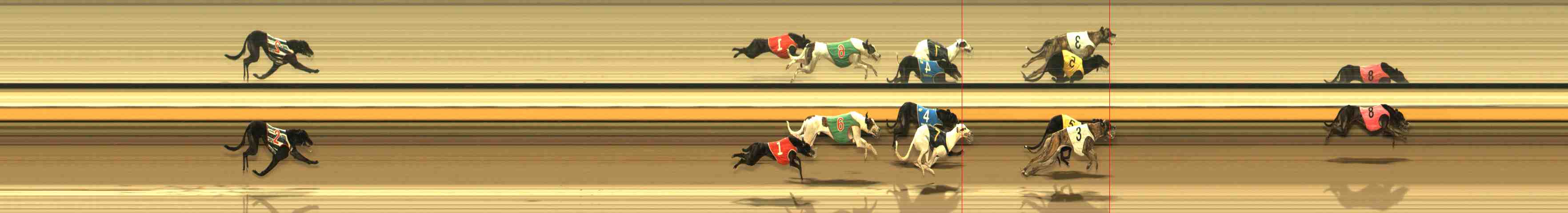 Photo finish for Warrnambool Race 11