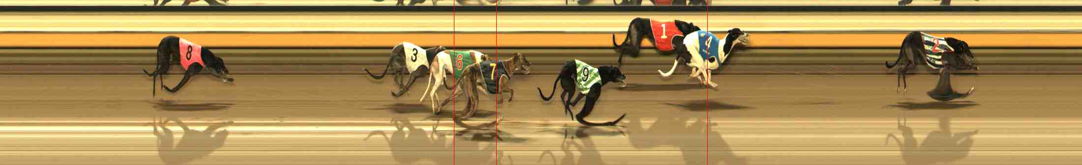 Photo finish for Warrnambool Race 13