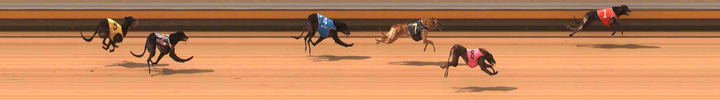 Photo finish for Warrnambool Race 1