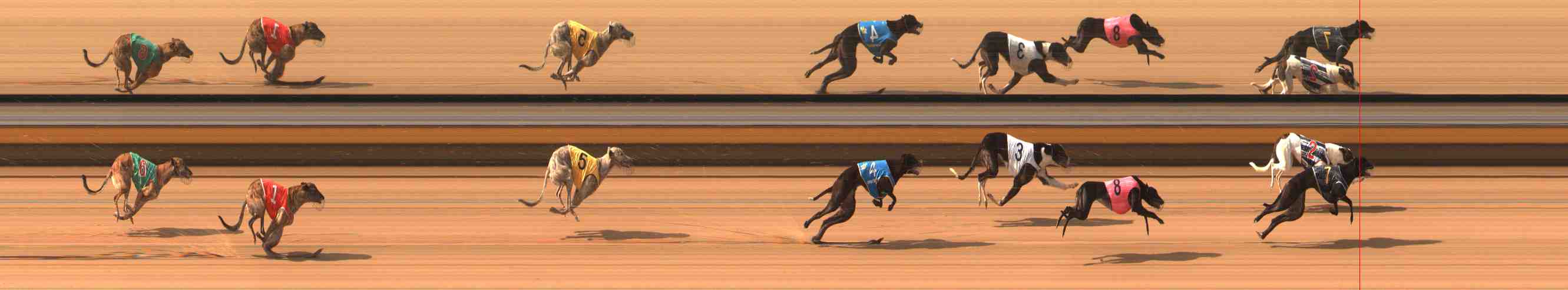 Photo finish for Warrnambool Race 2