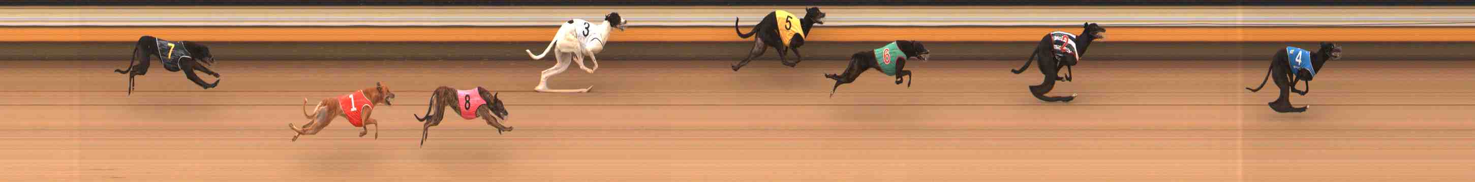 Photo finish for Warrnambool Race 3