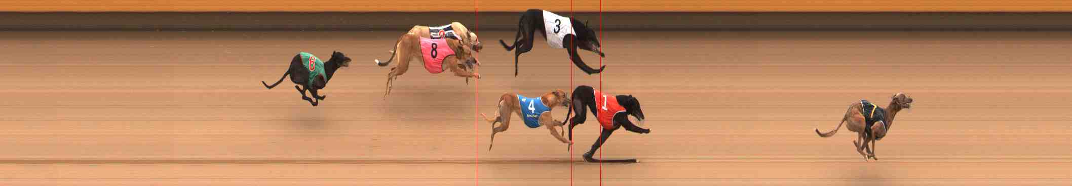 Photo finish for Warrnambool Race 4