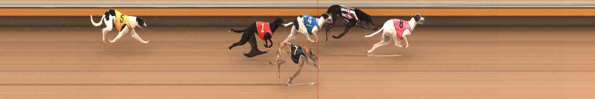 Photo finish for Warrnambool Race 5