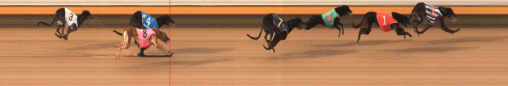 Photo finish for Warrnambool Race 6