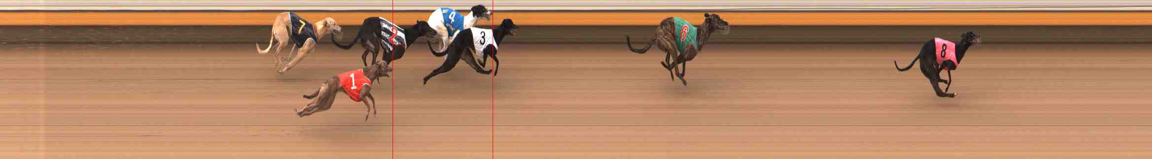 Photo finish for Warrnambool Race 8