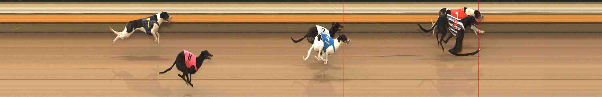 Photo finish for Warrnambool Race 9