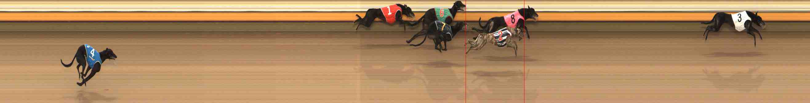 Photo finish for Warrnambool Race 10