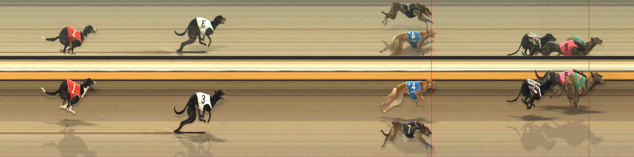 Photo finish for Warrnambool Race 11