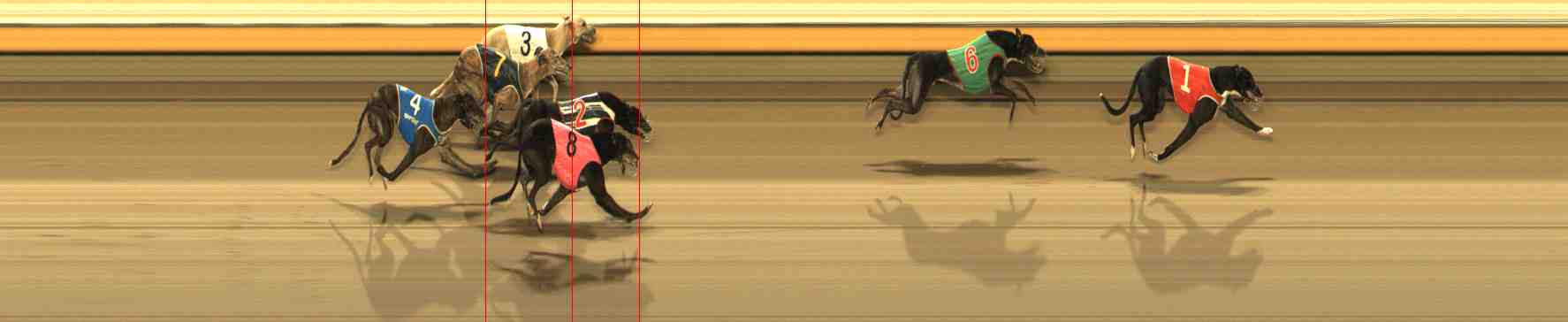 Photo finish for Warrnambool Race 12