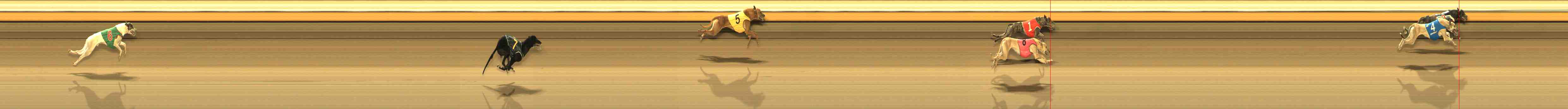 Photo finish for Warrnambool Race 13