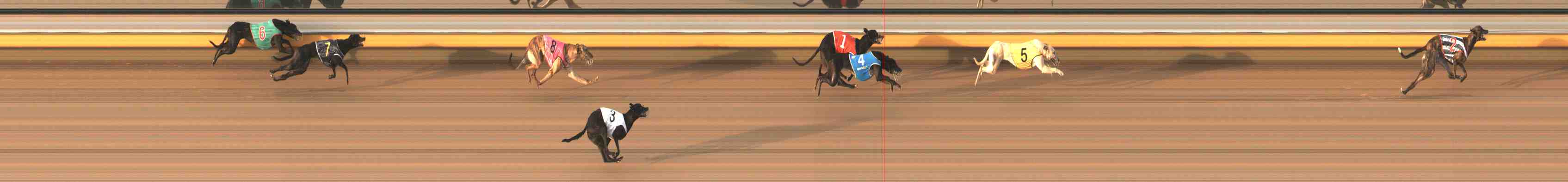 Photo finish for Warrnambool Race 1