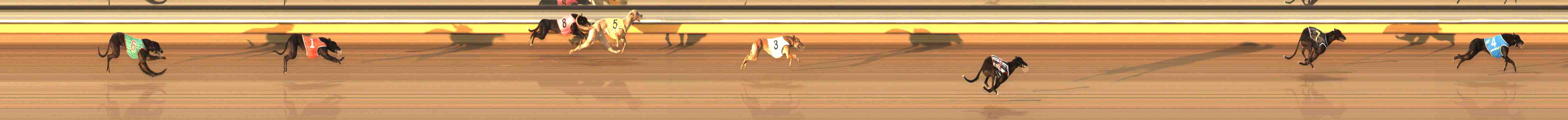 Photo finish for Warrnambool Race 2