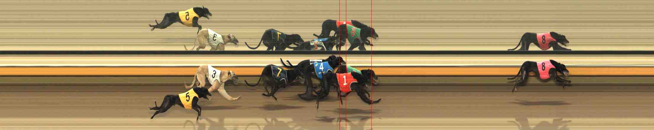 Photo finish for Warrnambool Race 3